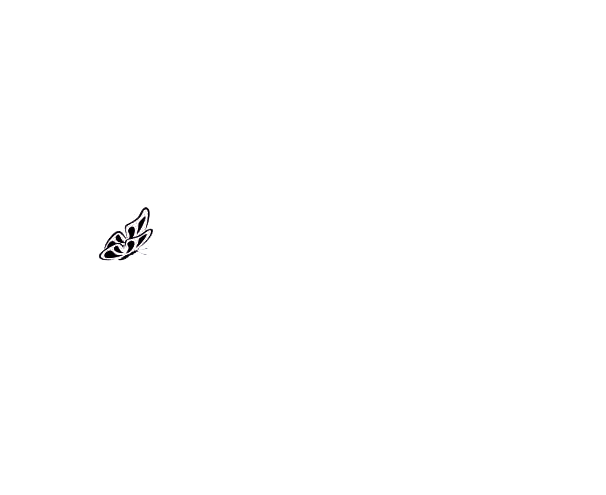 Novák Beauty Salon logo